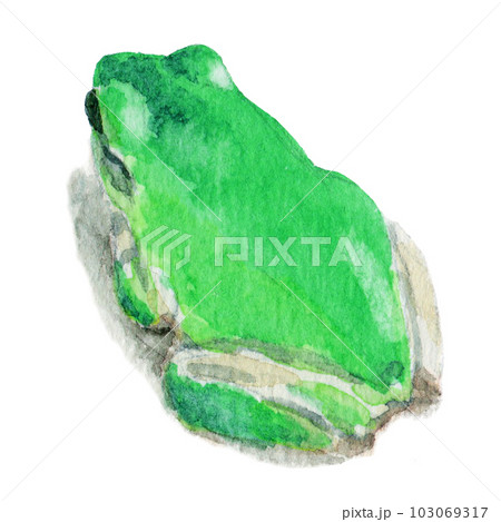 アナログ水彩青緑色のアマガエル 103069317