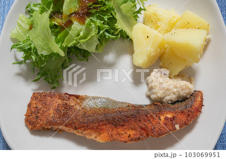 ワンプレートに乗せたサーモンのムニエル、野菜、ジャガイモ 103069951
