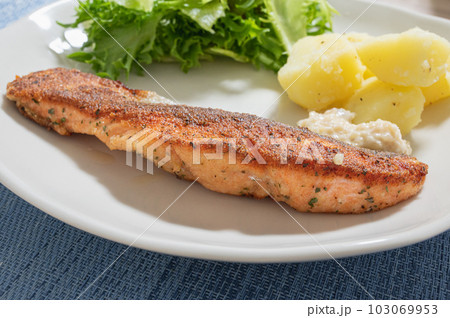 ワンプレートに乗せたサーモンのムニエル、野菜、ジャガイモNO.2 103069953
