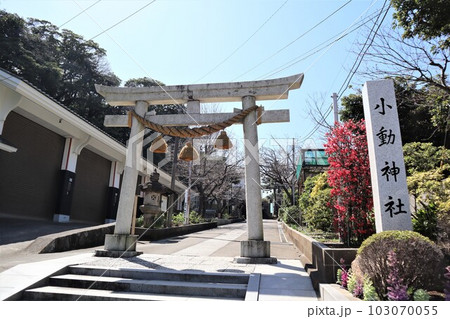 小動神社（鎌倉市腰越2丁目）　 103070055