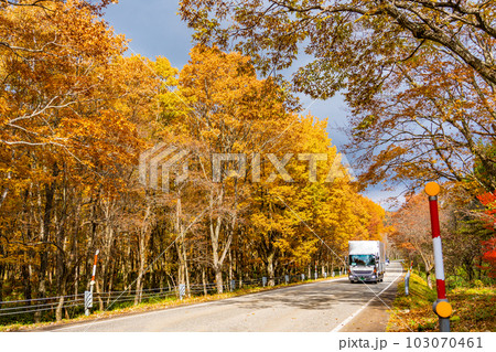 岐阜県高山市　秋の紅葉のせせらぎ街道を走るトラック 103070461