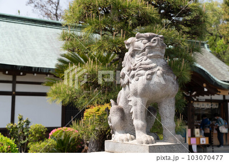足利織姫神社　狛犬 103070477