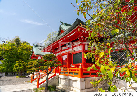 足利織姫神社 本堂 足利織姫神社 本堂 103070496