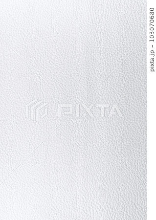 背景_革_白 103070680