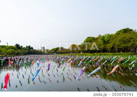 こいのぼりまつり　鶴生田川 103070741
