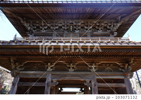 英勝寺 山門 英勝寺 山門 103071132