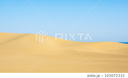 鳥取砂丘 103072332