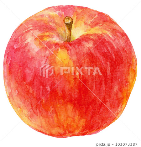 水彩で描いたリンゴの実のイラスト 103073387