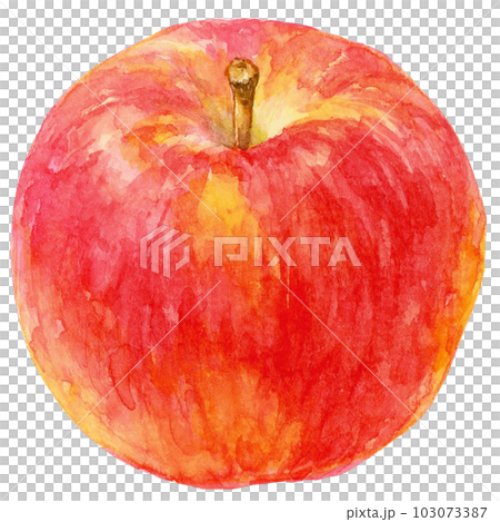 水彩で描いたリンゴの実のイラスト 103073387