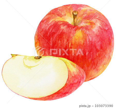 水彩で描いたリンゴのイラスト　丸いリンゴとくし形切りのリンゴ 103073390