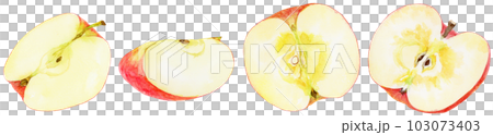 水彩で描いた様々なカットりんごのイラスト 103073403