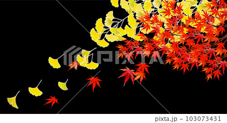 紅葉 もみじ 秋 背景 紅葉 もみじ 秋 背景 103073431