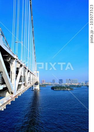 レインボーブリッジから見るお台場海浜公園の風景 レインボーブリッジから見るお台場海浜公園の風景 103073523