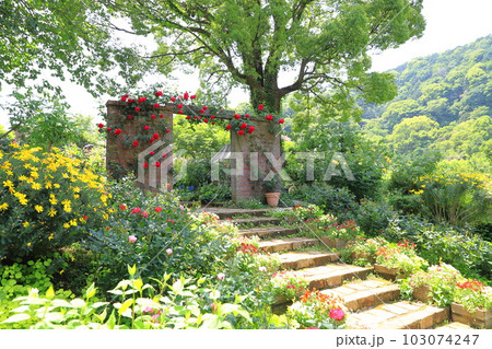 アカオフォレスト 「イングリッシュローズガーデン」 アカオフォレスト 「イングリッシュローズガーデン」 103074247