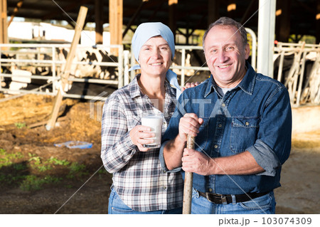Happy spouses farmers on cow farm 103074309