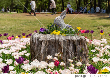 うさぎのモニュメントと春の花壇 うさぎのモニュメントと春の花壇 103074676