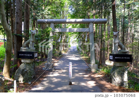 釜山神社鳥居と狛犬 103075068