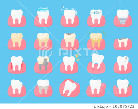 dental health care Solve the problem of tooth decay and swollen gums in the mouth. 103075722