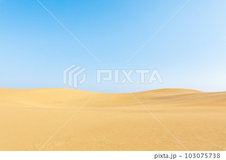 鳥取砂丘 103075738