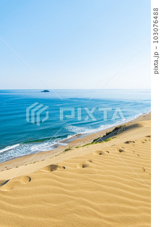 鳥取砂丘から望む日本海 103076488