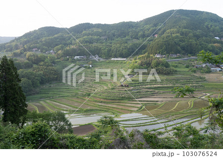 日本の岡山県美咲町の大垪和西の美しい棚田の風景 日本の岡山県美咲町の大垪和西の美しい棚田の風景 103076524
