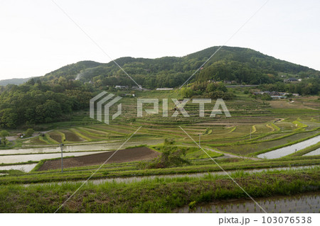 日本の岡山県美咲町の大垪和西の美しい棚田の風景 103076538