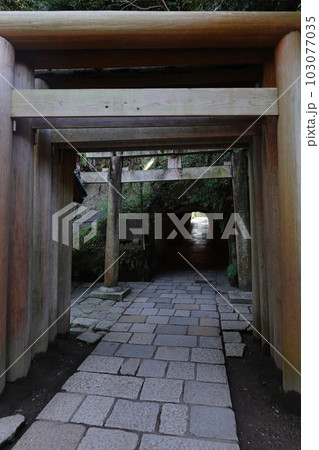 銭洗弁財天宇賀福神社 銭洗弁財天宇賀福神社 103077035