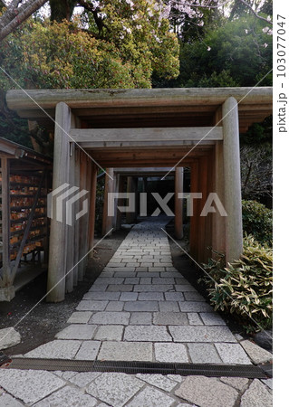 銭洗弁財天宇賀福神社 103077047