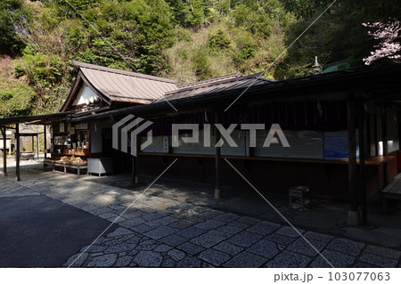 銭洗弁財天宇賀福神社 銭洗弁財天宇賀福神社 103077063