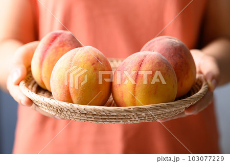 Ripe Peaches fruit in basket holding by woman hand 103077229