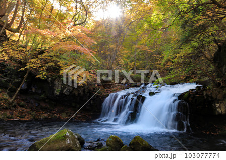 信州蓼科高原の紅葉の蓼科大滝 信州蓼科高原の紅葉の蓼科大滝 103077774