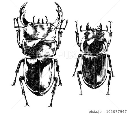 オオクワガタのモノクロイラスト オオクワガタのモノクロイラスト 103077947
