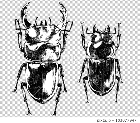 オオクワガタのモノクロイラスト オオクワガタのモノクロイラスト 103077947