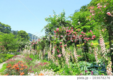 アカオフォレスト 「ウェディングガーデン」と「プロポーズガーデン」 アカオフォレスト 「ウェディングガーデン」と「プロポーズガーデン」 103078276