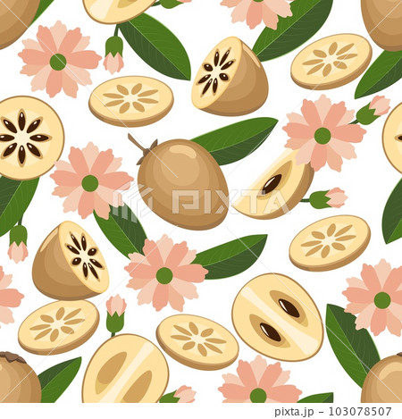 Sapodilla fruit seamless pattern Sapodilla fruit seamless pattern 103078507