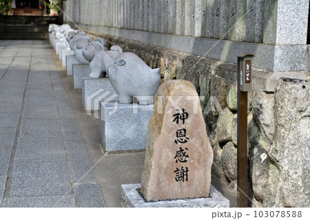 神戸市東灘区の保久良神社　境内と景色 103078588