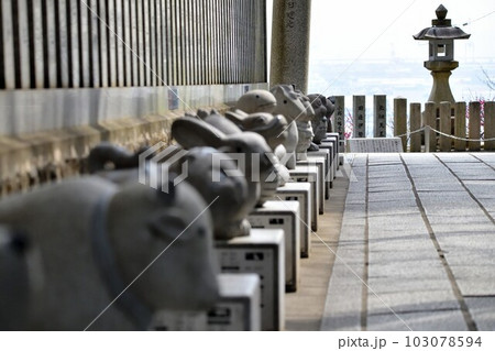 神戸市東灘区の保久良神社 境内と景色 神戸市東灘区の保久良神社 境内と景色 103078594