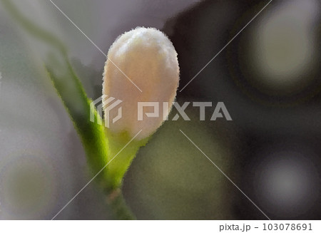 Digital illustration of a white flower bud on a blurred background. Digital art. 103078691