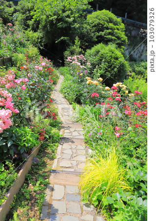 アカオフォレスト ウエディングガーデンに通ずる小径 アカオフォレスト ウエディングガーデンに通ずる小径 103079326