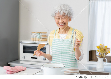 キッチンで料理するシニア女性 キッチンで料理するシニア女性 103079652