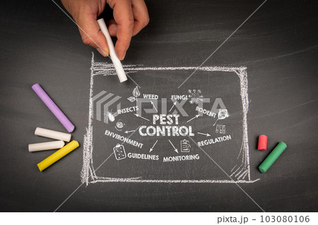 Pest Control Concept. Illustration with icons, arrows and keywords on a dark chalk board 103080106