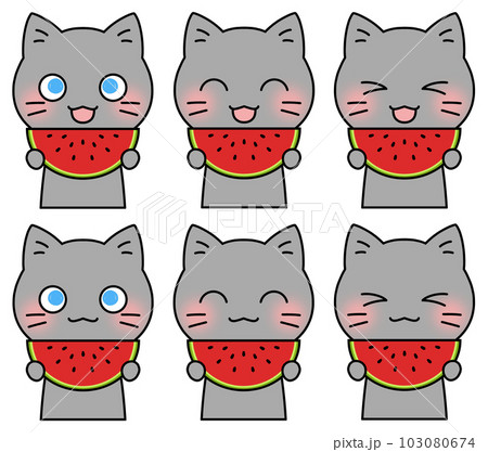 笑顔でスイカを手に持つ灰猫のイラスト6表情セット 笑顔でスイカを手に持つ灰猫のイラスト6表情セット 103080674
