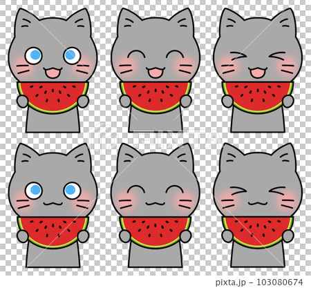 笑顔でスイカを手に持つ灰猫のイラスト6表情セット 笑顔でスイカを手に持つ灰猫のイラスト6表情セット 103080674