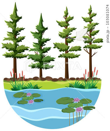 Trees by the river scene 103081074