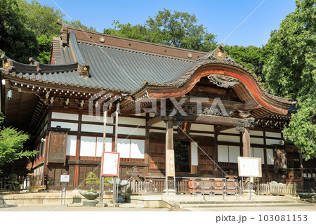 清々しい新緑の深大寺本堂（元三大師堂） 103081153
