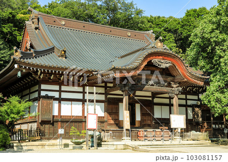 清々しい新緑の深大寺本堂(元三大師堂) 清々しい新緑の深大寺本堂(元三大師堂) 103081157
