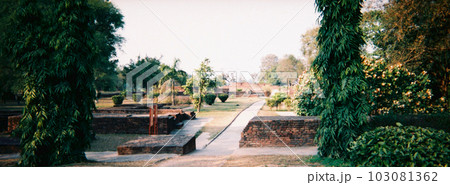 インド　サヘート・マヘート　1995年1月 103081362