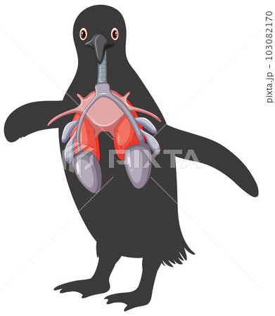 Penguin respiratory system cartoon 103082170