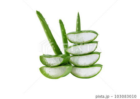 Fresh Aloe vera slice isolated on white background. Aloe vera leaf slice for design of herbal medicine or skin care treatment. Fresh Aloe vera slice isolated on white background. Aloe vera leaf slice for design of herbal medicine or skin care treatment. 103083010