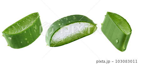 Fresh Aloe vera slice with aloe vera gel drops isolated on white background. Aloe vera leaf slice for design of herbal medicine or skin care treatment. Fresh Aloe vera slice with aloe vera gel drops isolated on white background. Aloe vera leaf slice for design of herbal medicine or skin care treatment. 103083011